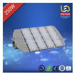 Уличный светильник LF-HVSL250W